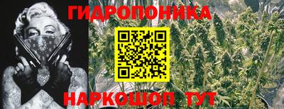 мяу мяу мука Кунгур