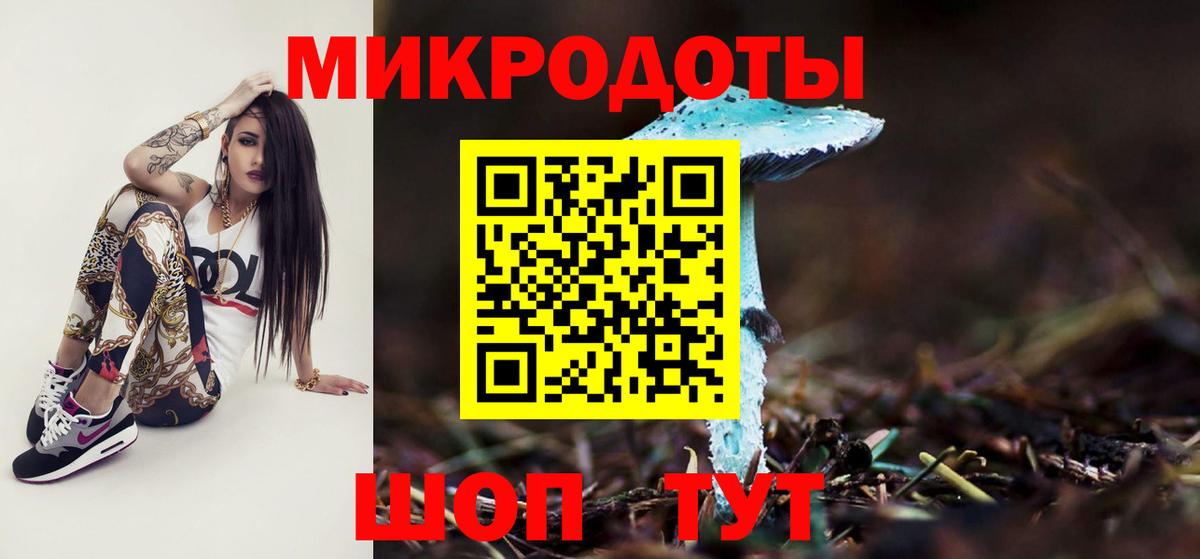 Сунжа  продажа наркотиков  Псилоцибиновые грибы ЛСД  Вход с VPN  Псилоцибиновые грибы Magic Shrooms 