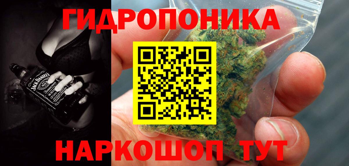 Сунжа  Бошки Шишки Amnesia  Вход с VPN  Каннабис VHQ 